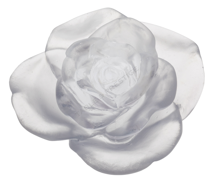 Fleur blanche - Daum